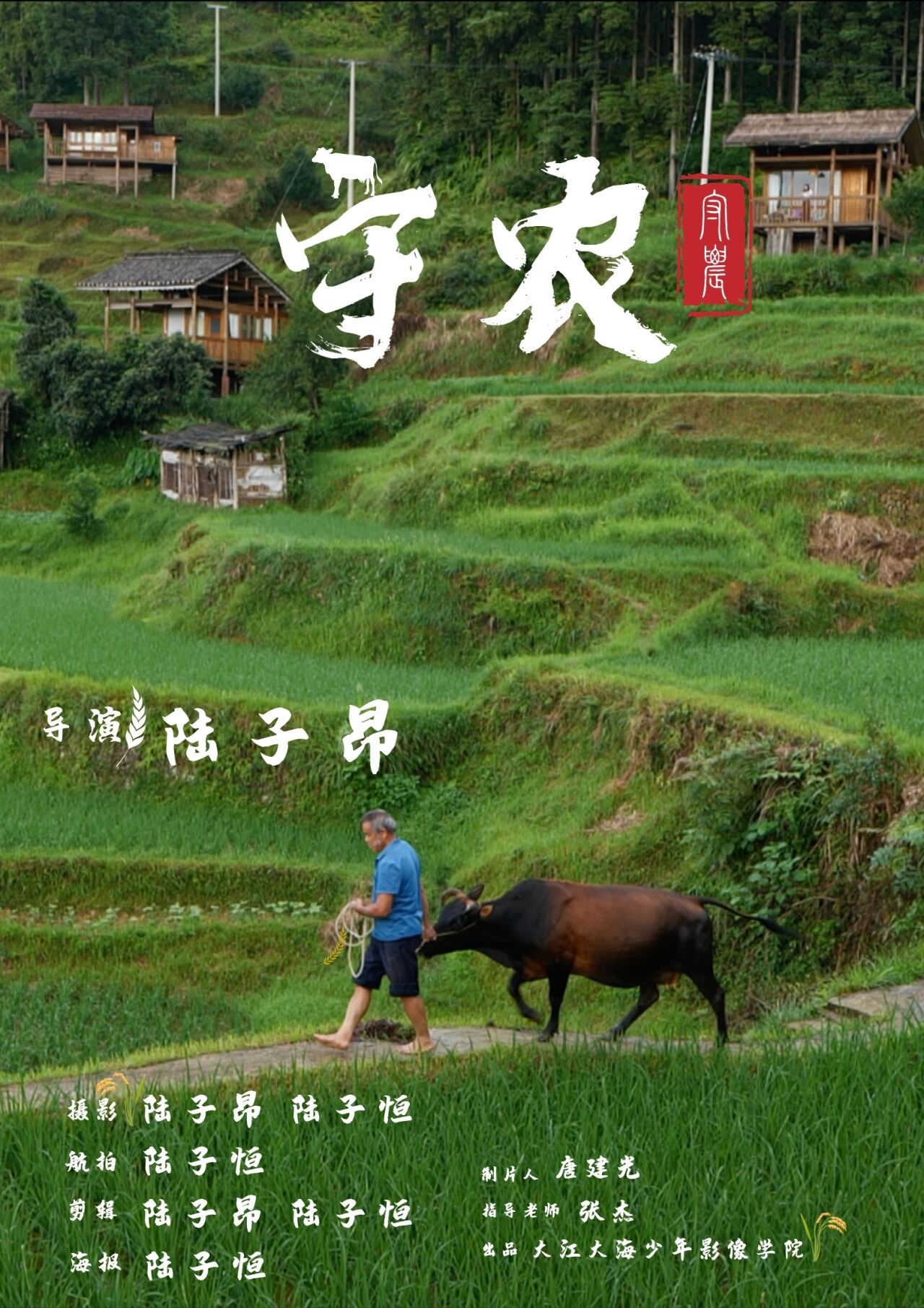 守农 海报
